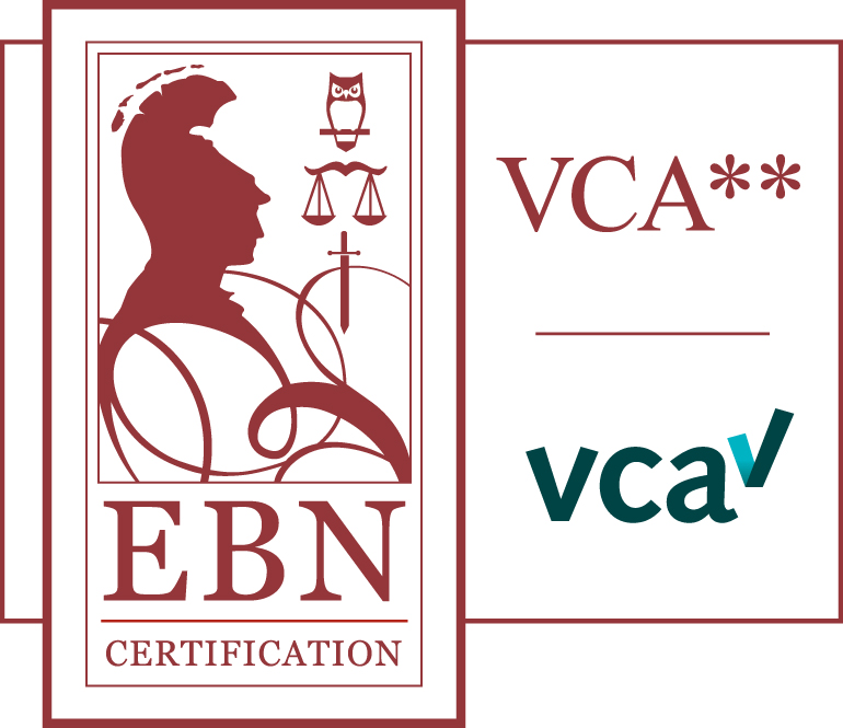 Logo-VCA